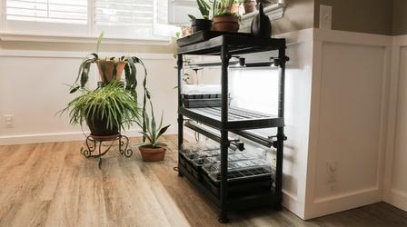 Video thumbnail: Modern Gardener Simple Indoor Seed Starting Setup