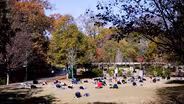 Social Gatherings and Public Spaces