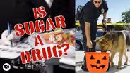 Is Sugar A Drug?