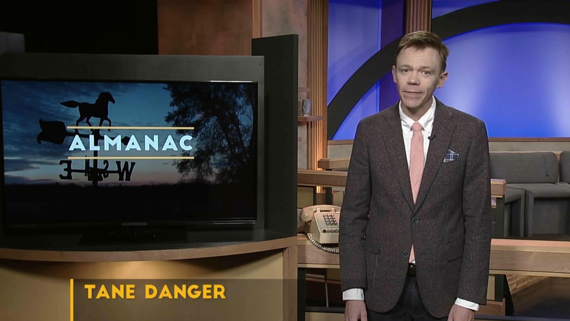 Tane Danger essay | July 2024