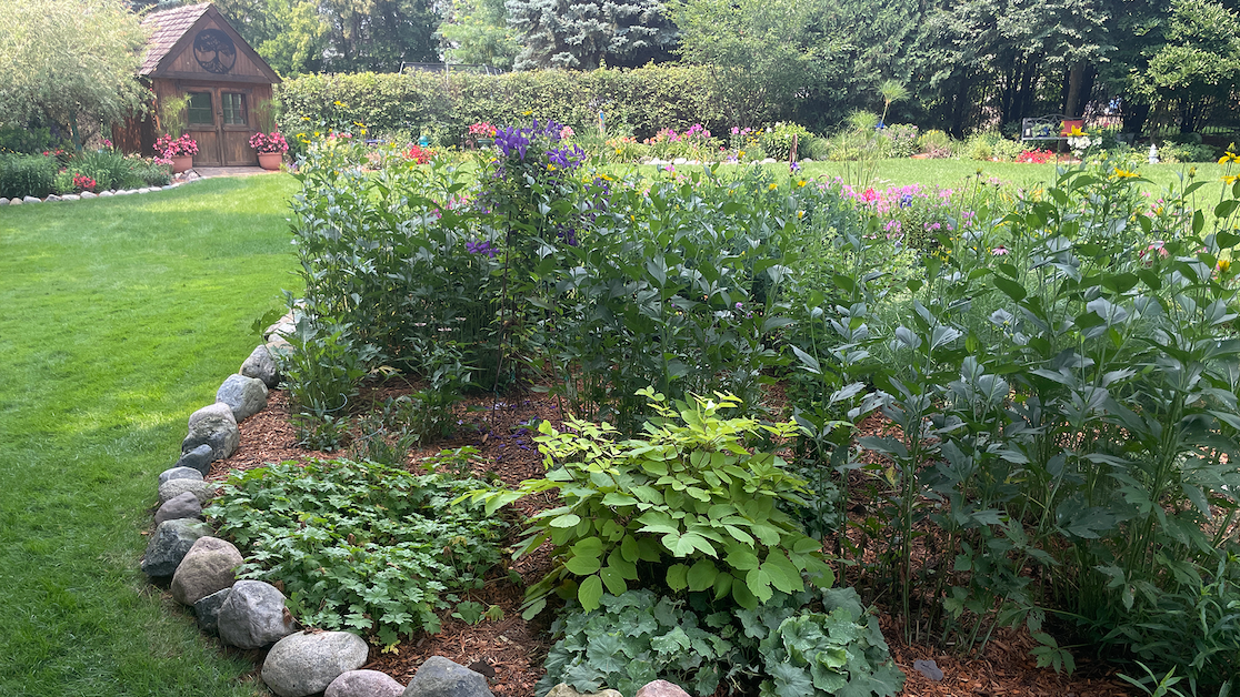 Sue and Bob Olson of Mankato, Minn. have designed a beautiful yard that they enjoy sharing.