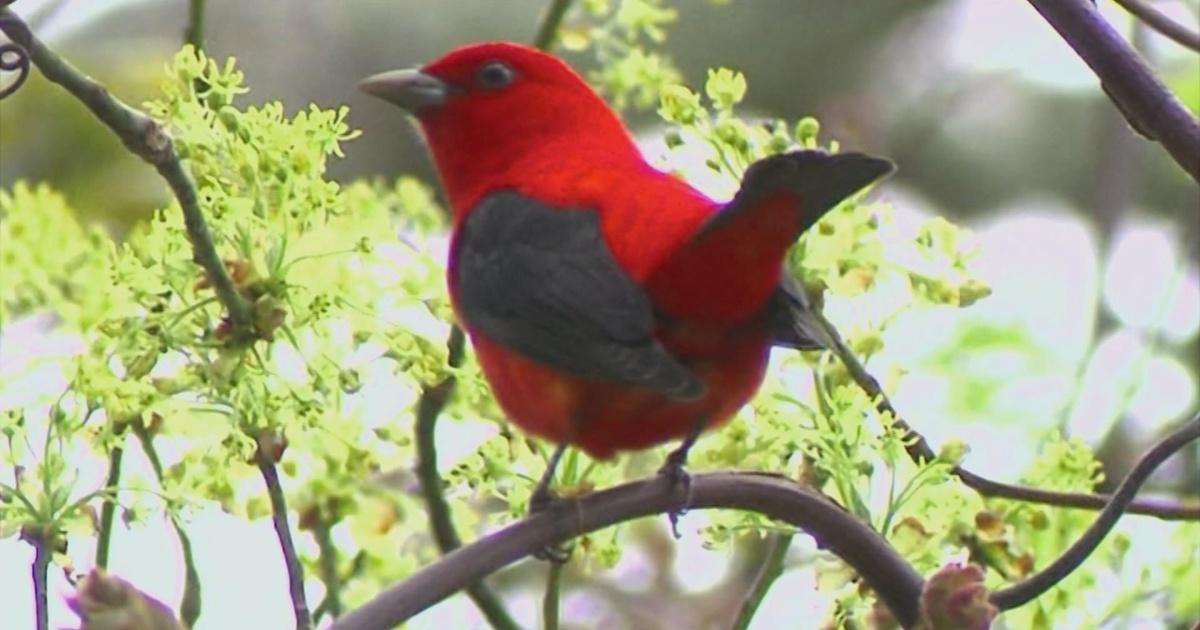 Expeditions with Patrick McMillan