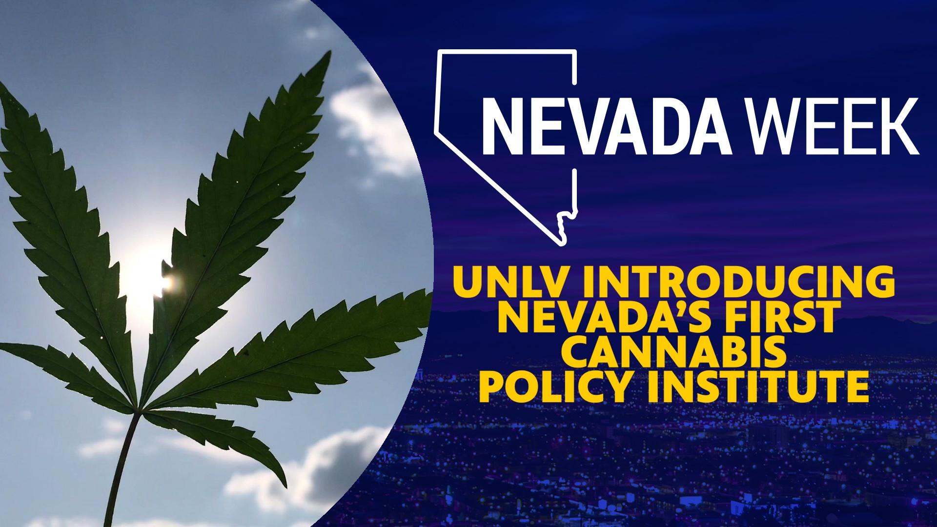 UNLV introducing Nevada’s First Cannabis Policy Institute