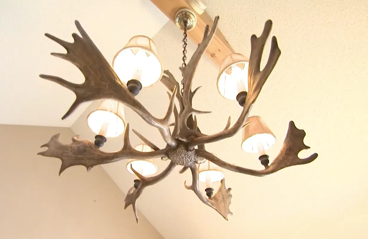 Rustic Western Furniture / Antler Lighting