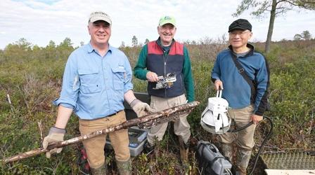 Video thumbnail: State of Change The Potential of Pocosin Peatlands’ Carbon Storage