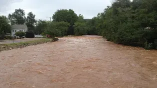 Artist Christina Bothwell on the flood after her studio fire