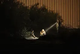 How the White House is reacting to ruling on immigration