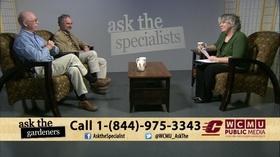 Video thumbnail: Ask The Specialists Ask the Gardeners