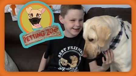 Video thumbnail: NewsDepth Petting Zoo: Blind Boy Gets a New Companion