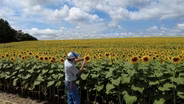 Value of community trees & visit a sunflower farm