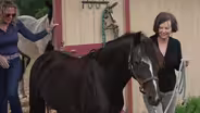Author Geraldine Brooks discusses her new novel 'Horse'