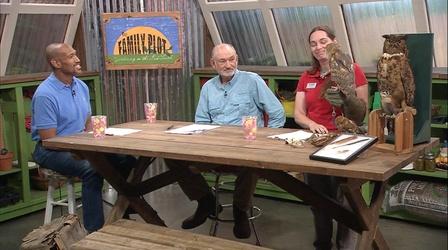 Video thumbnail: The Family Plot Raptors & Types of Fences