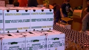 Florida Farmers Feed Florida