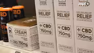 The Dig: Health and Wellness CBD