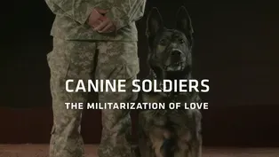 Canine Soldiers: The Militarization of Love