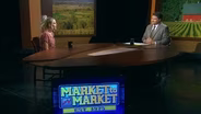 Risk Ahead in USDA Report and Pressure On Cattle — Market Plus with Kristi Van Ahn-Kjeseth