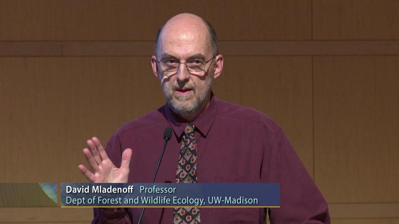 University Place The State of Wisconsin's Forests airing Mon, Jun 29 4:00 pm