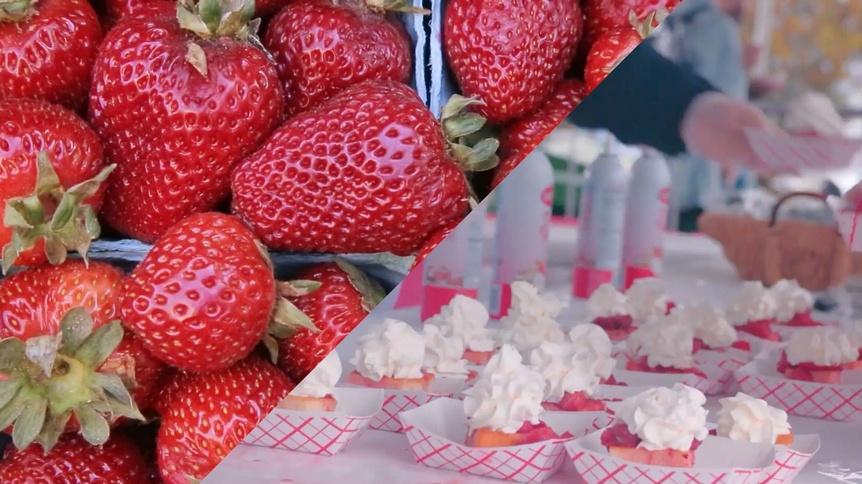 Strawberry | Superabundant