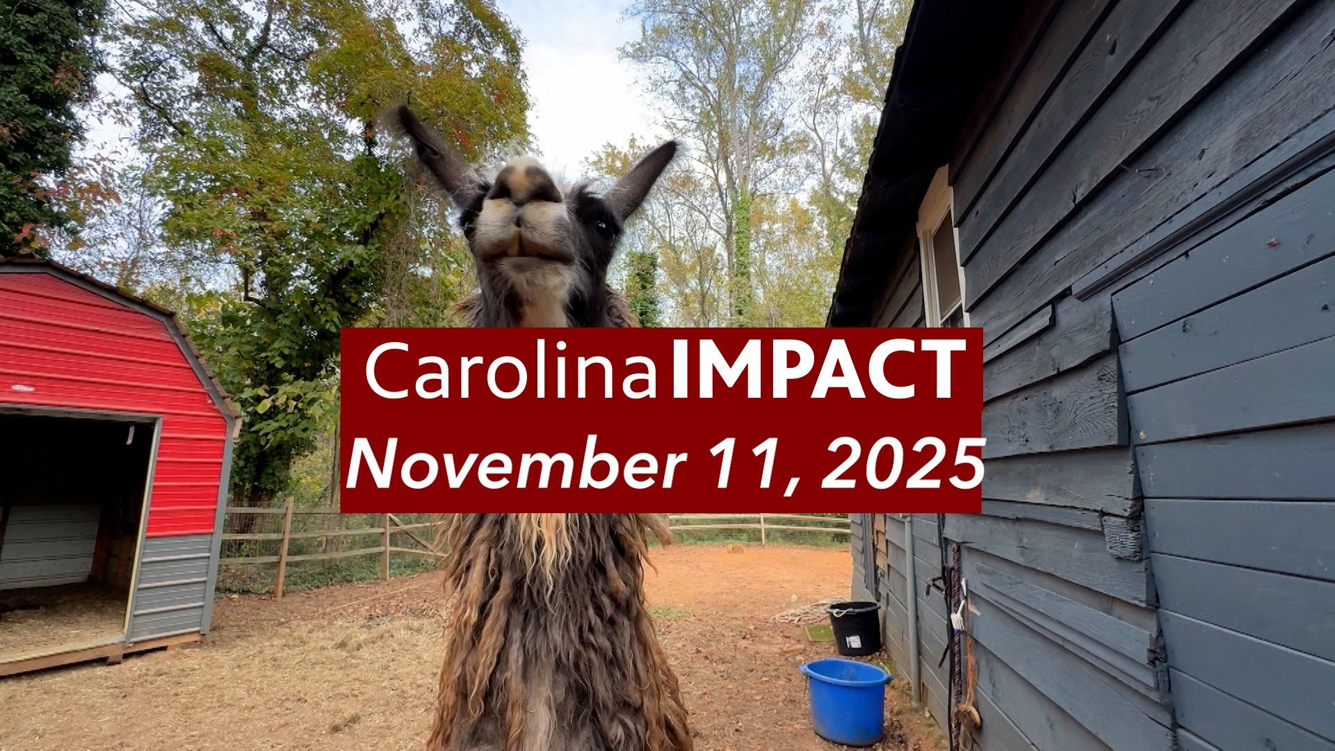 Urban Farming, Fifty Gardens, Healing Through Movement, & Bar-B-Q King Says Goodbye