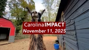 November 11, 2025 | Carolina Impact