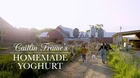 Caitlin Frame’s Easy Homemade Yoghurt