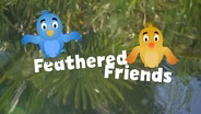 Feathered Friends