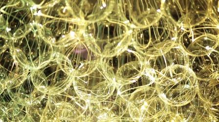 Video thumbnail: Broad and High Bruce Munro: Light, Edwaard Liang, Ohio Art League, Tony Ell