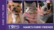 6/11/2026 | Green Grape, Mystery Saja and DQ | Mark's Furry Friends