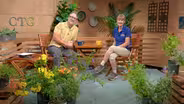 Summertime Sensations, Family Pond Garden
