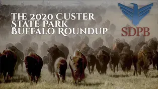 The 2020 South Dakota Governor's Buffalo Roundup