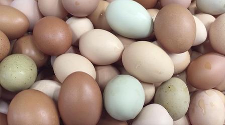 Video thumbnail: Virginia Home Grown Sussex Farm: A Passion for Fresh Food