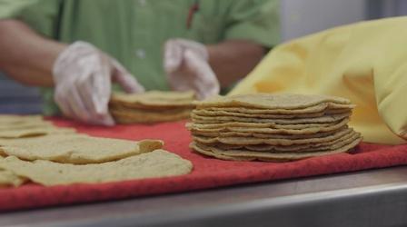 Video thumbnail: Wisconsin Life Angel Tortillas