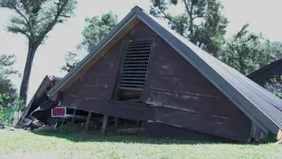 The Forgotten County: How Michael Remains In Greenwood