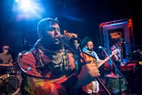 Joe Hertler & The Rainbow Seekers |Shelter In Place Playlist
