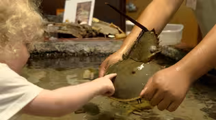 Virginia Living Museum