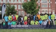 TreePlanters Grant Offers Free Tree Planting