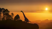 Island of Giants