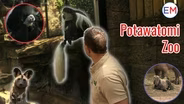 Potawatomi Zoo