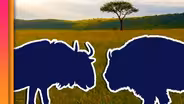 Are Some Species More Important Than Others?
