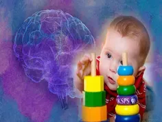 Babies' Brains