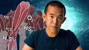 How Giant Tube Worms Survive at Hydrothermal Vents