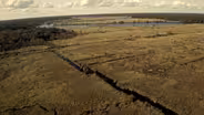 Rice Fields And Slavery
