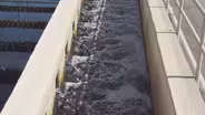 How scientists use wastewater to track the spread of COVID