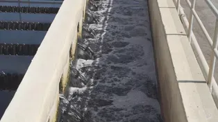 How scientists use wastewater to track the spread of COVID