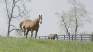 Horse Racing Education and Pond Fishing, Yellowbank WMA, Deer Archery Hunt