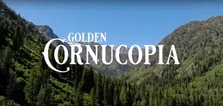 Golden Cornucopia