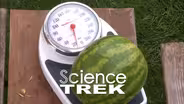 Measure: Mass vs. Weight