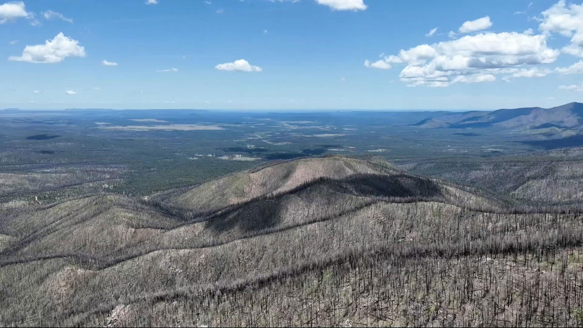 New Mexico In Focus Fire Season in NM; Planting Seeds in a Burn