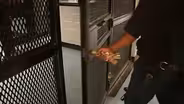 NEW YORK’S PRISON PIPELINE