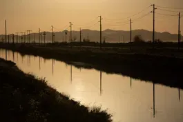 Western states agree to cut Colorado River water usage